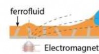 New Magnetic Method Enables Precise Micro‑Droplet Control on Ferrofluid‑Infused Surfaces