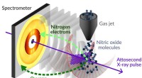 Record-Breaking Ultrafast X-Ray Study Reveals Electron Dynamics in Nitrous Oxide
