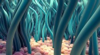 How Cilia Propel Sperm: Physics Behind Successful Swimming
