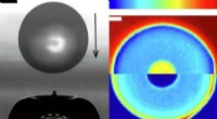 Heat Conduction Dominates Droplet Dynamics on Windshields