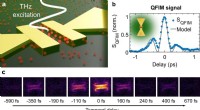 Ultrafast Terahertz Waveform Imaging with Quantum Dot Near‑Field Microscopy
