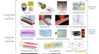 Integrating Meta‑Structures with Diverse Optical Waveguides for Advanced Photonic Devices