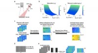 New Kilohertz, Label-Free, Non-Contact Mapping Technique Quantifies Optical Properties in Highly Turbid Media