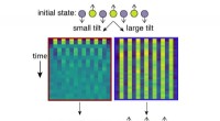 Trapped-Ion Technique Thwarts Quantum Equilibrium, Preserving Initial Spin States