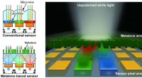 Color-Sorting Metalenses Boost Imaging Sensitivity