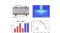Unveiling Charge Carrier Dynamics in Silicon Oxide Tunneling Junctions