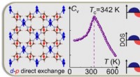 Electrically Tunable Spin Polarization in 2D Bipolar Magnetic Semiconductors
