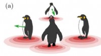 Three-Body Interactions Drive Egoists Into Collective Comfort—Insights from Emperor Penguins
