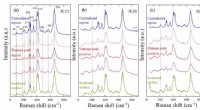 Irradiation Damage Significantly Impacts Tritium Breeding Material Performance