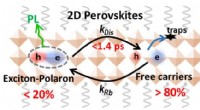 Ultrafast, High-Yield Polaronic Exciton Dissociation in 2D Perovskites