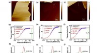 Exploring Nonlinear Photonics: Thickness-Engineered SnS₂ Devices for Enhanced Laser Performance