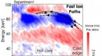 Mapping Fast Ion Dynamics in Fusion Reactors