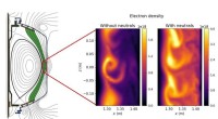 Neutral Particles Mitigate Disruptive Plasma Blobs in Tokamak Fusion