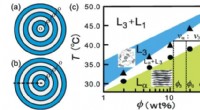 Optical Microscopy Reveals the Layered Structure of Surfactant Onions