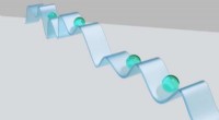 Universal Scaling in Disordered Quantum Systems: Entanglement and Surface Roughness