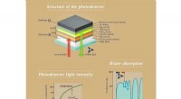 Enabling Visible Detection of Short-Wave Infrared Light Using a Single-Component Photodetector