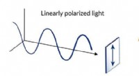 Quantum Materials Show Distinct Response to Circularly Polarized Laser Light – New Experimental Findings