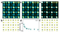 Unveiling the Photoelectric Performance of MAPbI₃ Perovskites
