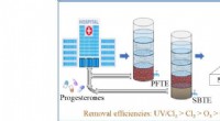Advanced Disinfection Techniques Yield Superior Removal of Natural and Synthetic Progesterones in Hospital Wastewater