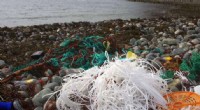 Annually, 740,000 km of Fishing Line & 14 B Hooks Pollute Oceans – 2% of Global Gear