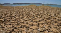 North Atlantic Sea Temperature Forecasts Northeast Brazil Droughts Up to Three Months Ahead
