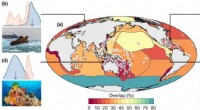 Rising Ocean Temperatures Threaten the World s Richest Marine Biodiversity
