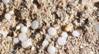 Microplastics: Shipwrecks and Beaches as Real-World Research Labs