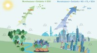 Anthropogenic Monoterpenes Exacerbate Urban Ozone Pollution