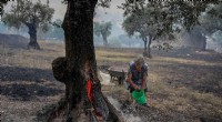 Southwest Europe Battles Record Heat, Wildfires Sweep France, Portugal, Spain