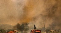 Morocco s Firefighters Contain Four Forest Infernos, Evacuating 500 Families