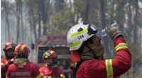 Portugal s Villages Unite to Combat Wildfires Amid Europe s Heatwave