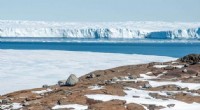 Antarctic Ice Sheet: 10,000 Years of Rise and Retreat Reveal Future Sea‑Level Warnings