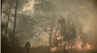 Europe Battles Heatwave‑Fueled Wildfires in France and Spain