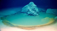 Rare Deep-Sea Brine Pools Uncovered in the Red Sea – A Window into Extreme Marine Life