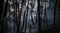 Portugal Battles Widespread Forest Fires Amid Record Heatwave