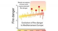 New Study Highlights Unprecedented Rise in European Summer Fire Risks Linked to Climate Change