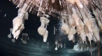 Cave Mineral Growths Uncover Rapid Modern Sea-Level Rise