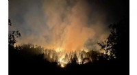California’s Dixie Fire Highlights the Impact of Legacy Effects and Prescribed Burns