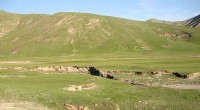 Cenozoic Climate and Ecosystem Evolution on the Qinghai‑Tibet Plateau: Key Insights