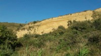 Loess Layers in Tajikistan Reveal Past Climate and Dust Origins