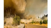 Wildfire Experts Urge Proactive Strategies to Combat Intensifying Fires