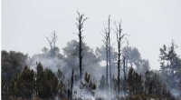 Lightning‑Ignited Wildfires Threaten Georgia s Historic St. Catherine s Island
