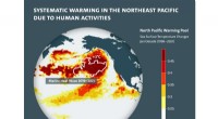 Human Activities Fuel Persistent Warming of the Pacific s Northeast  Warming Pool 