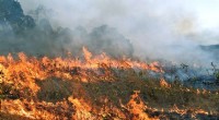 Crossing the Fire Threshold: Small Spikes Can Turn Blazes into Major Threats