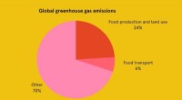 Transport Accounts for One-Fifth of Global Food-Related Greenhouse Gas Emissions, Study Reveals