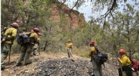 Arizona Wildfires Threaten Priceless Ancient Sites and Artifacts