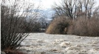 Assessing Uncertainty in Flood Risk Estimates: A Study on Truckee River Flood Frequency Analysis