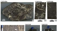 Uncovering Critical Minerals on Ancient Ocean Floors: Advanced Geochemical Techniques