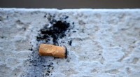 WHO Highlights Tobacco Industry s Devastating Environmental Impact