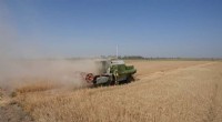 Iraq s Wheat Harvest Strained by Severe Water Shortages